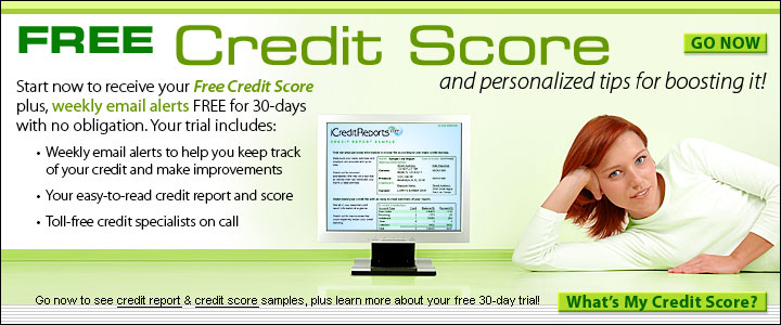 Fake Credit Reports